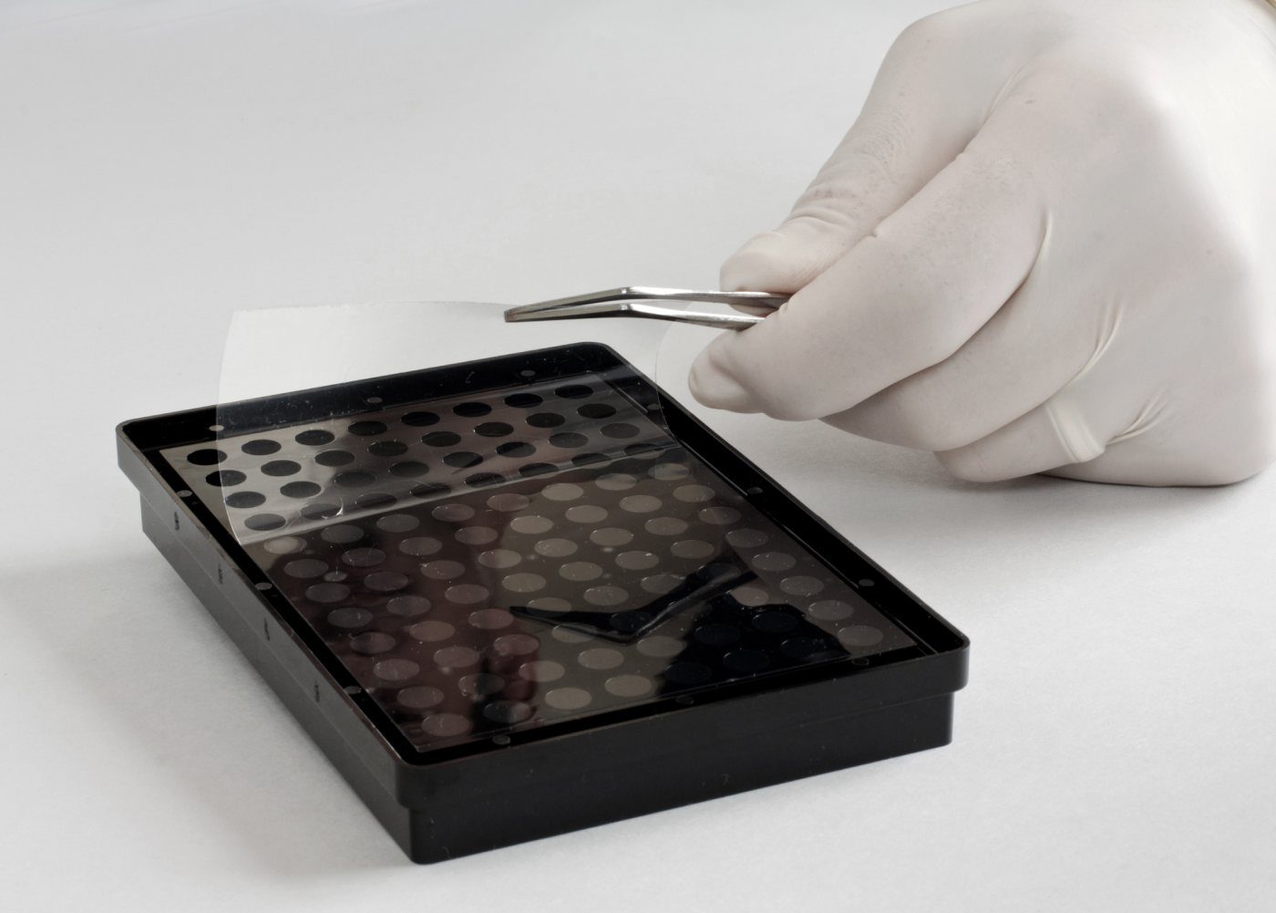 Acktar 3D Transparent Bottom Cell Culture Coated Microplates